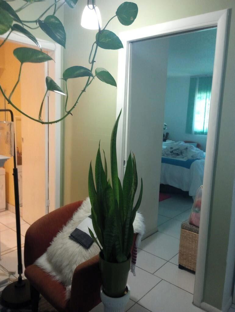 1250 E Sample Road #307, Pompano Beach, FL 33064 — photo 2