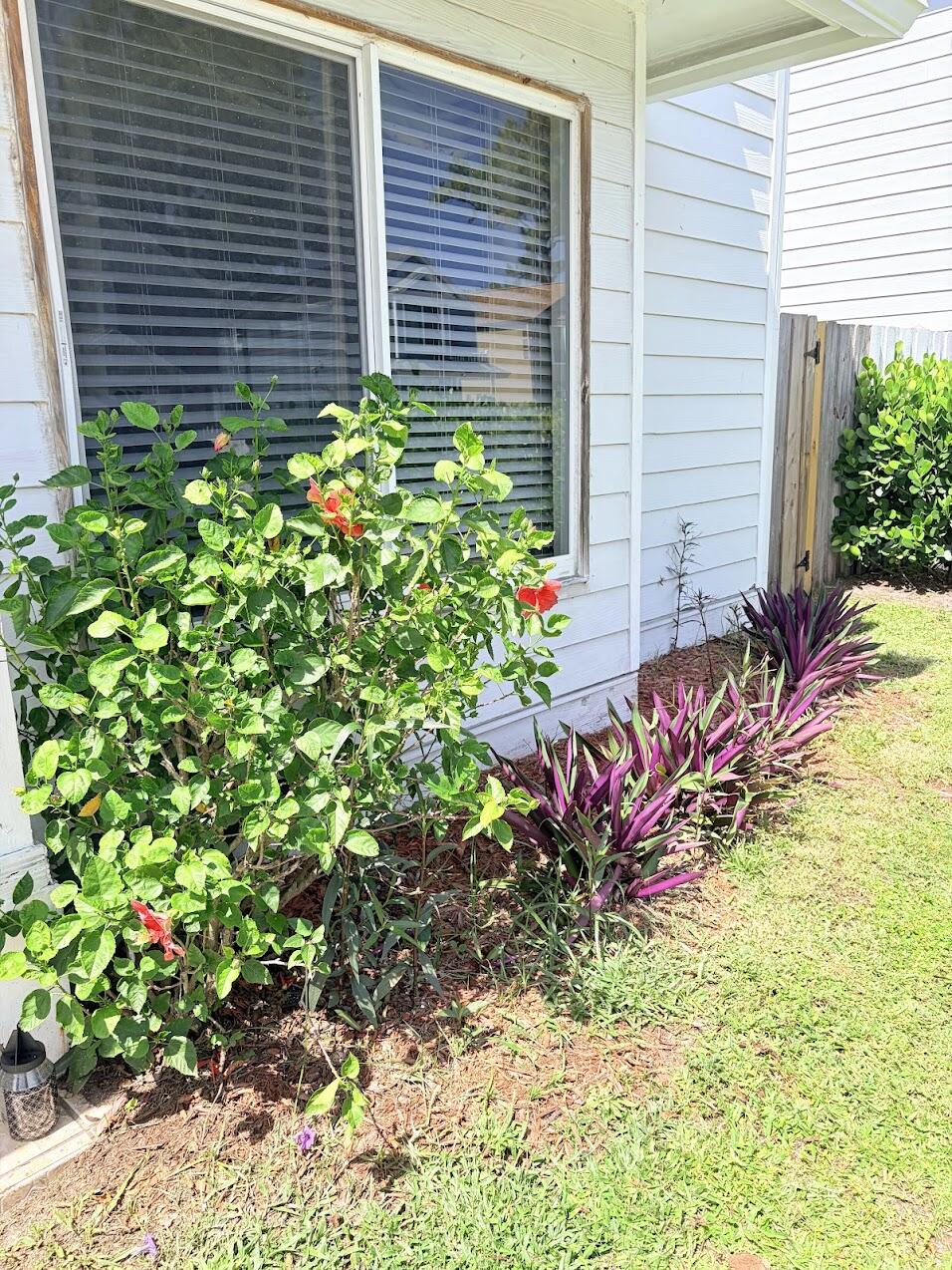 5813 Wild Lupine Court — photo