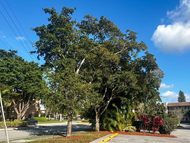 10332 Sunrise Lakes Boulevard 111 — photo