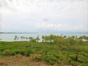 27 Harbour Isle Drive W 305 — photo
