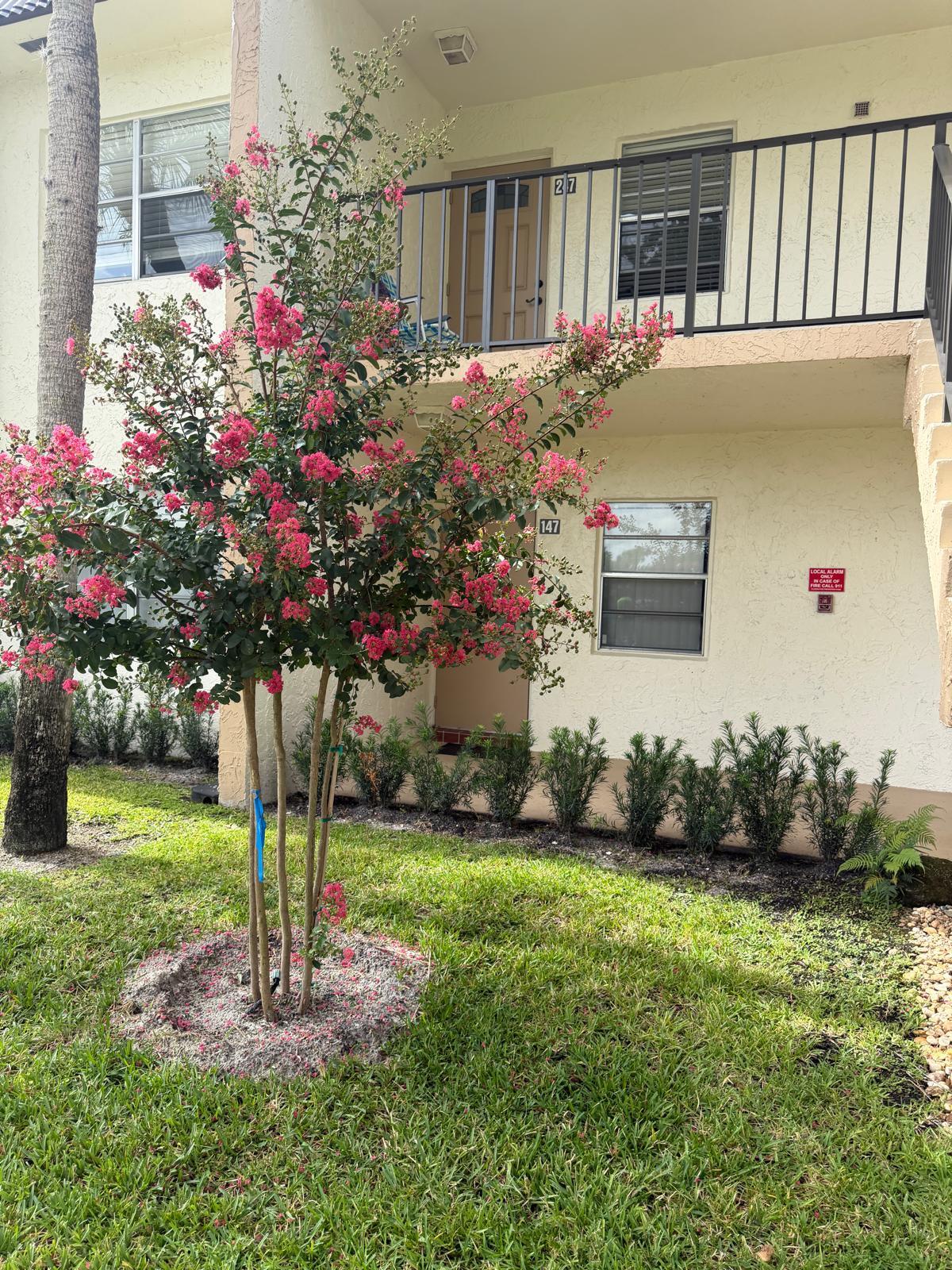 150 Lake Meryl Drive 247 — photo