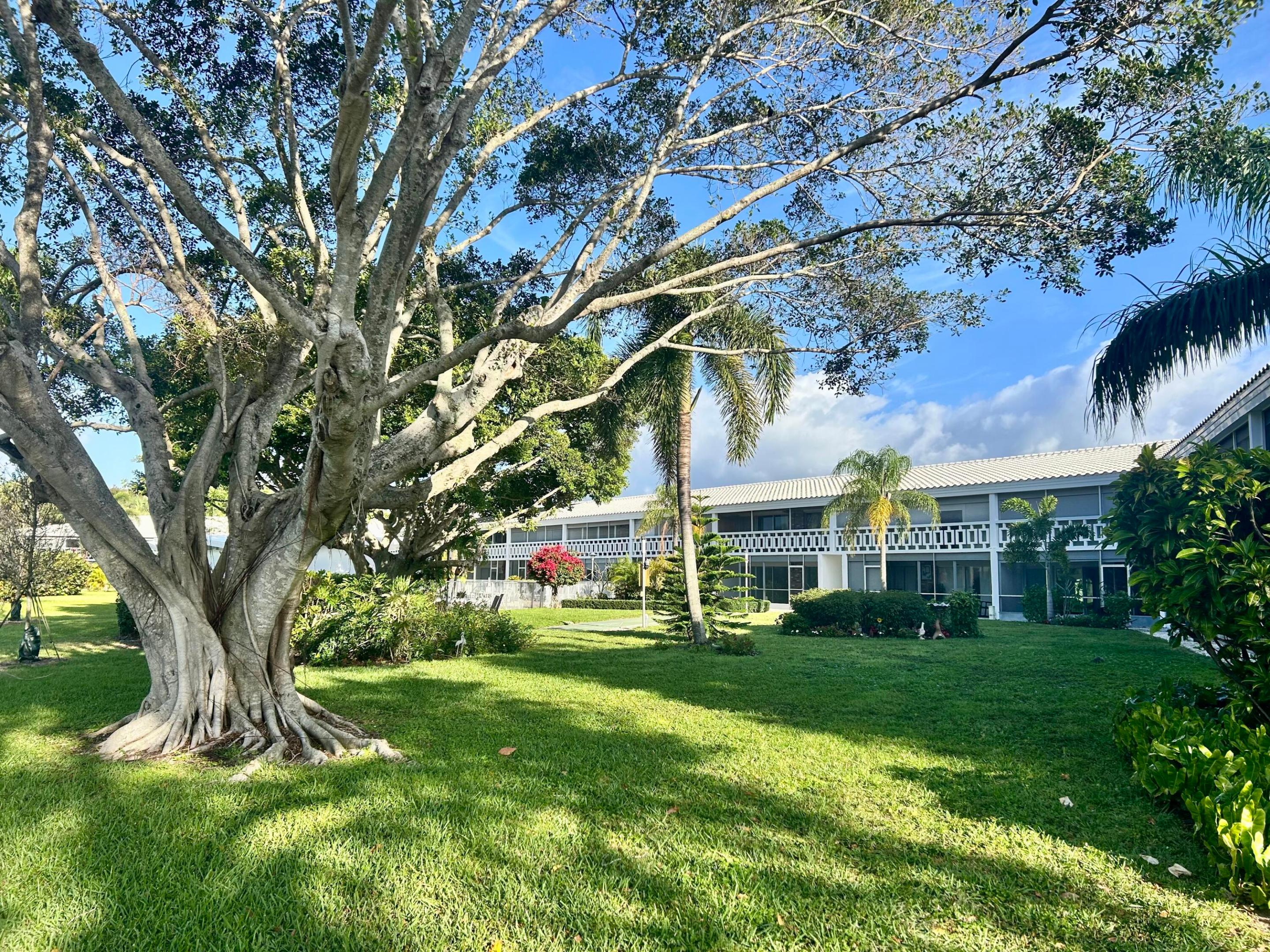 331 Tequesta Drive 216 — photo