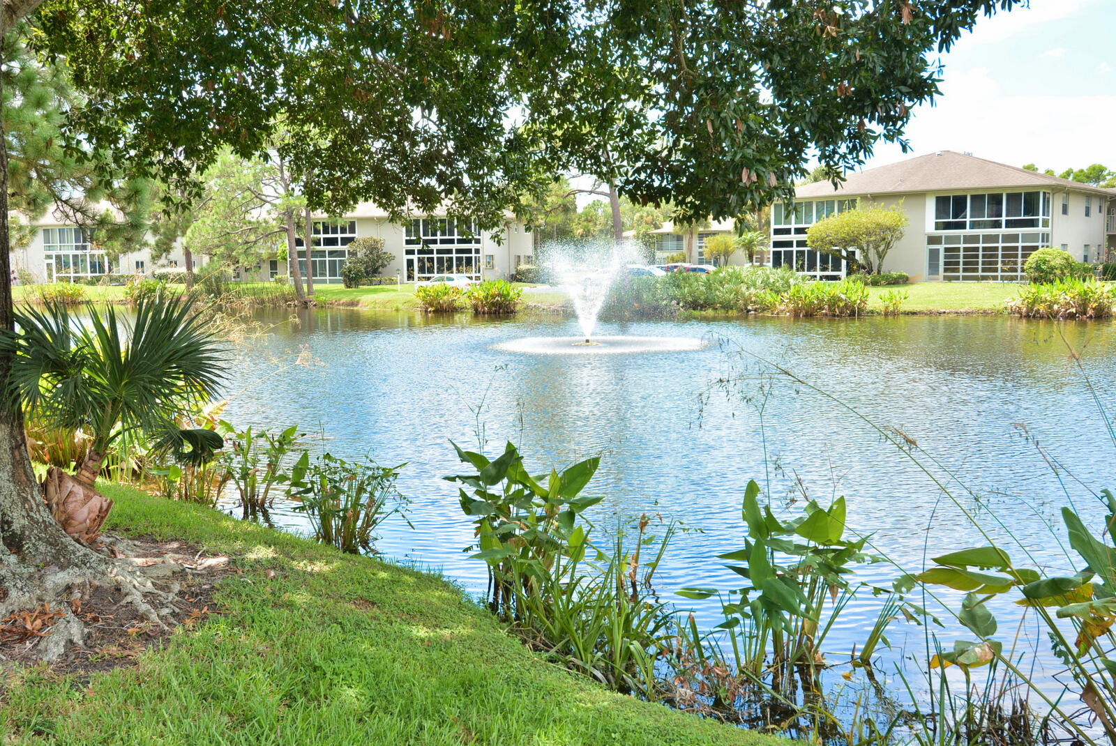 10 Lake Vista Trail 203 — photo