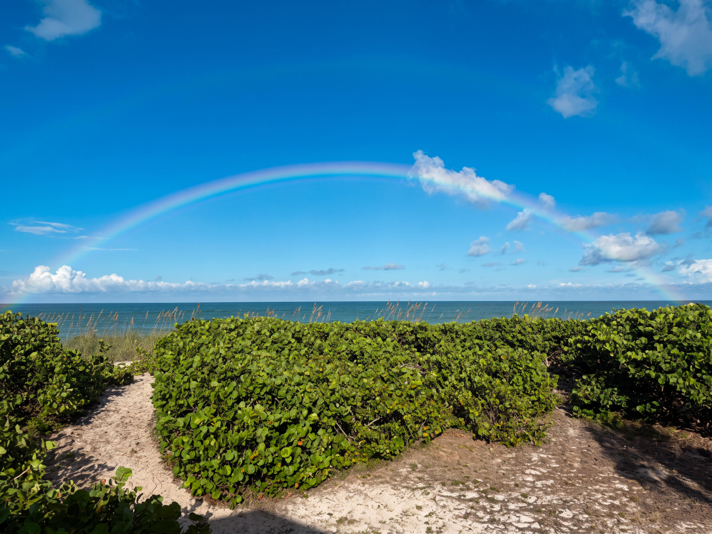12356 Highway a1a Highway — photo