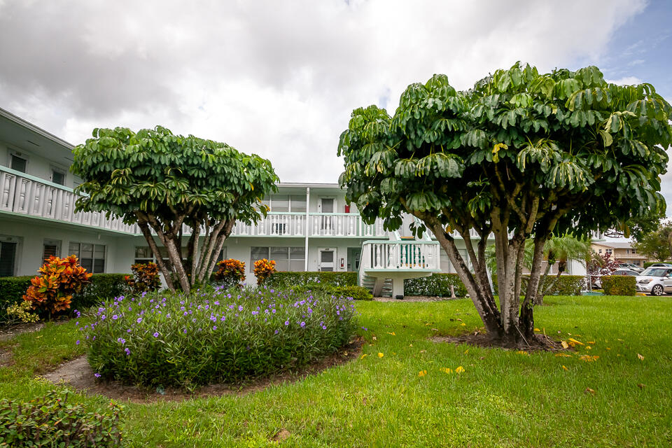 117 Kingswood F 117 — photo