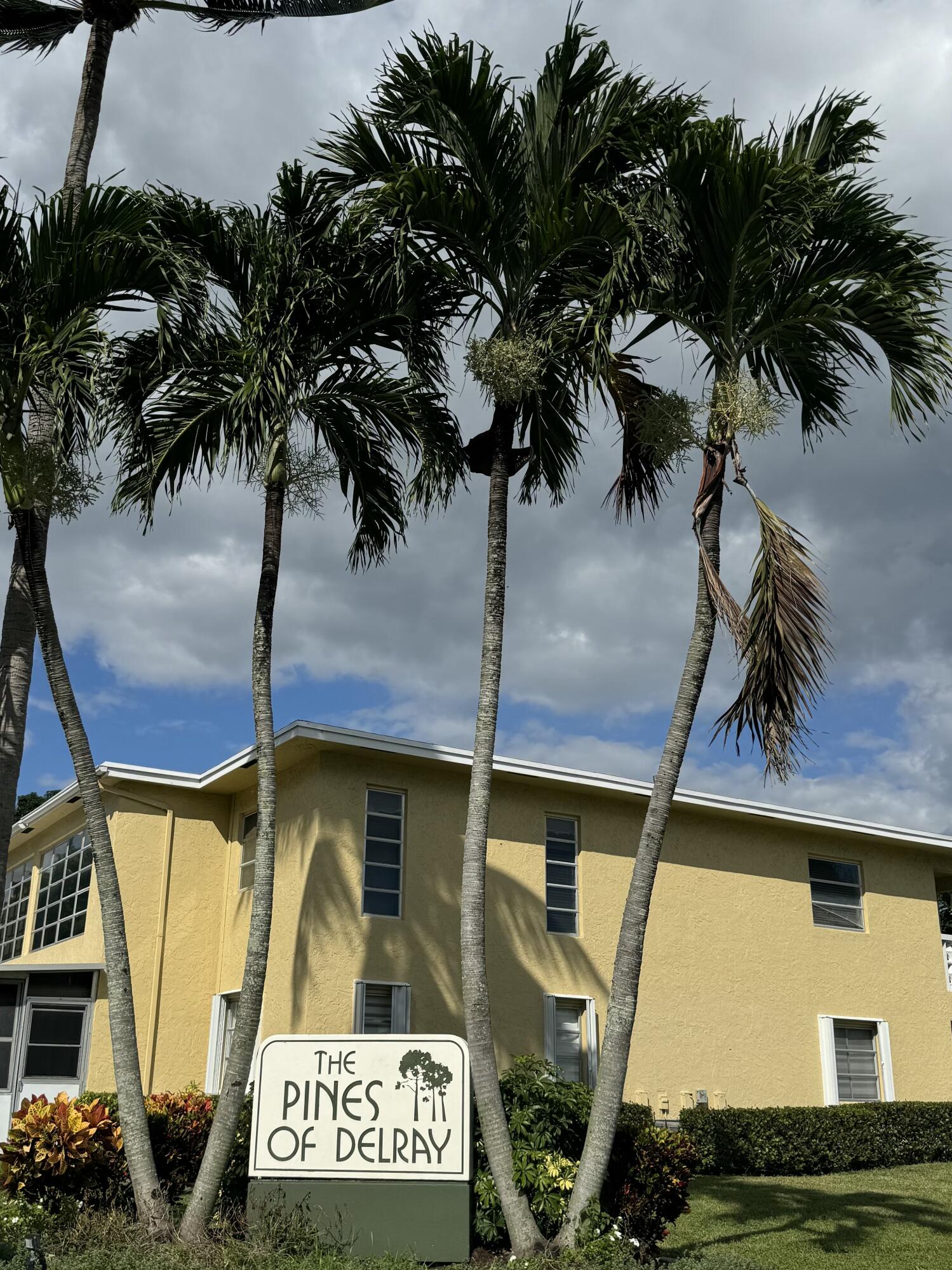 1141 Violet Terrace 202 — photo