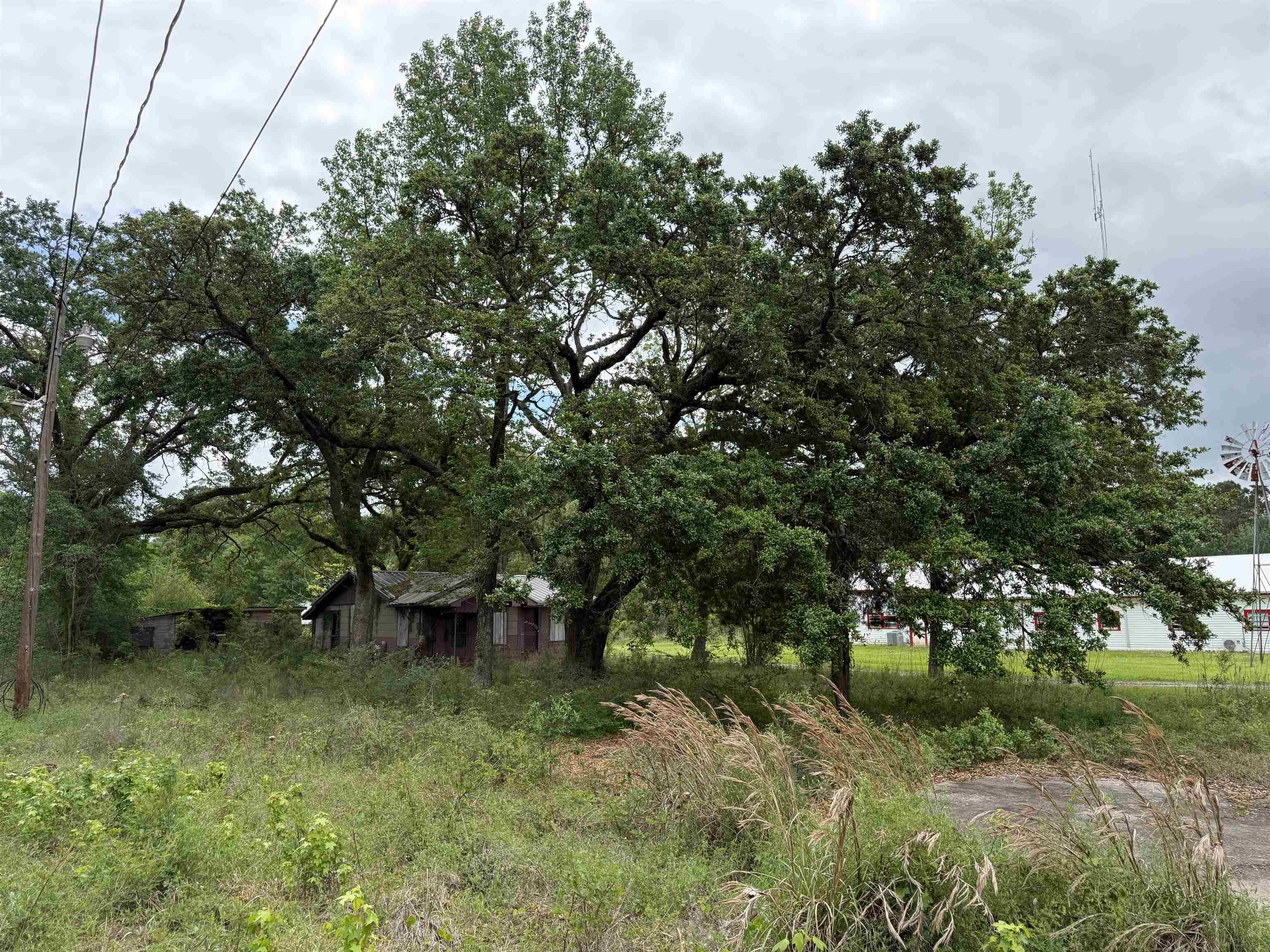 2192 FM 92, Silsbee, TX 77656 — photo 3