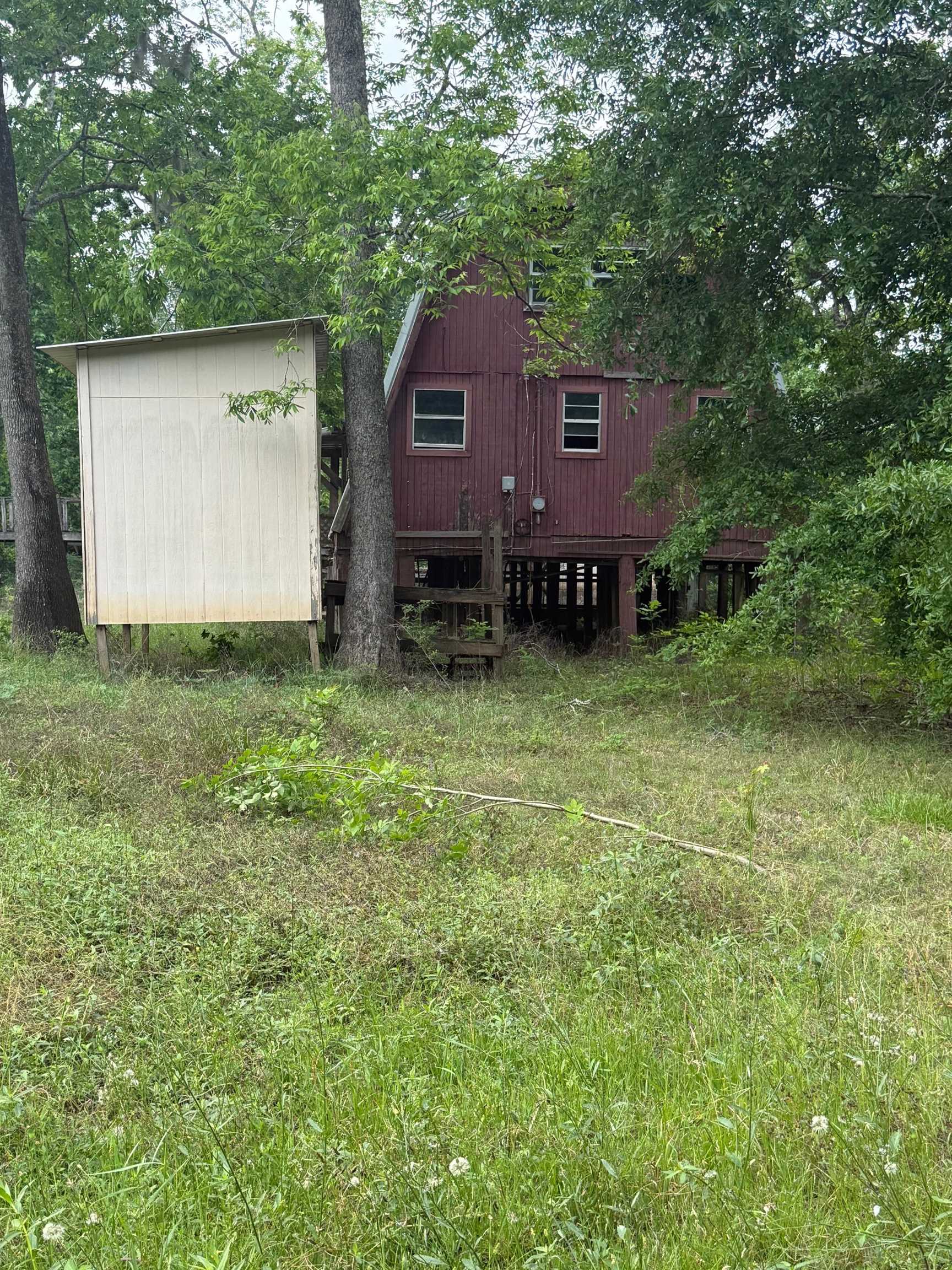 335 Connolly — photo