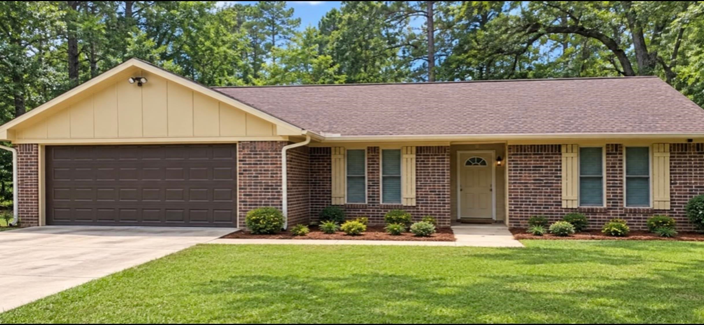 120 Bald Cypress — photo