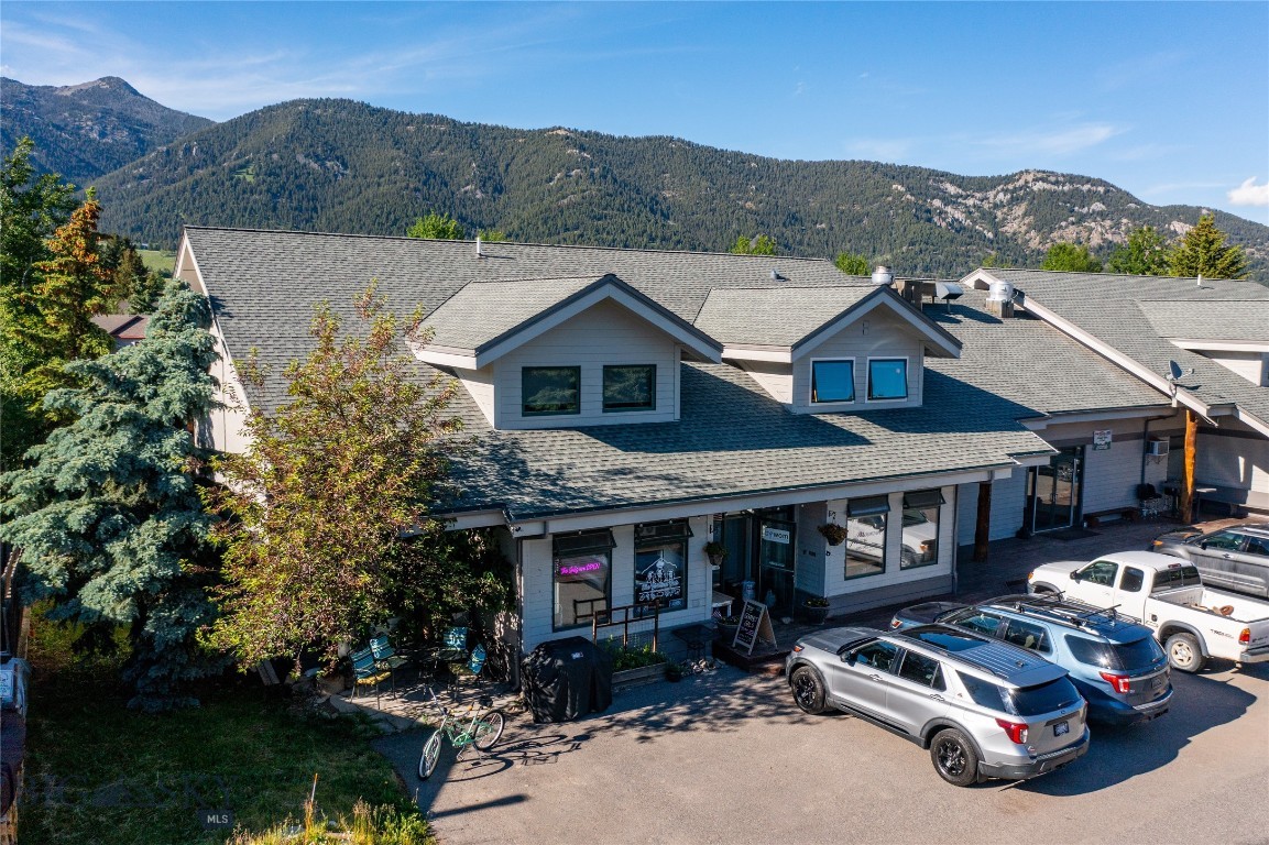 77 Aspen Leaf 9 — photo