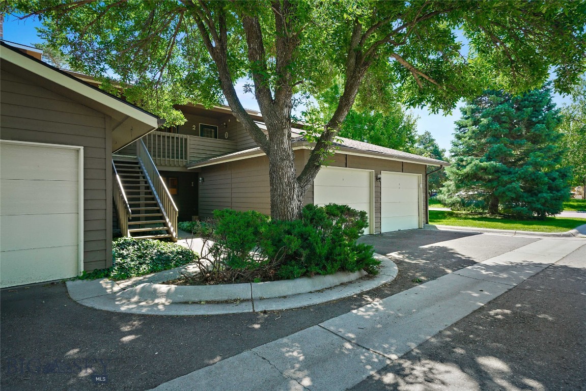 1703 W Olive Street 1 — photo
