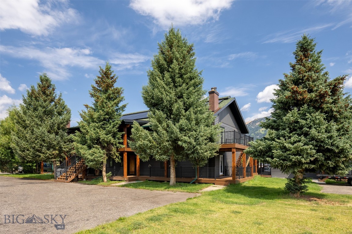 149 Juniper Berry B — photo