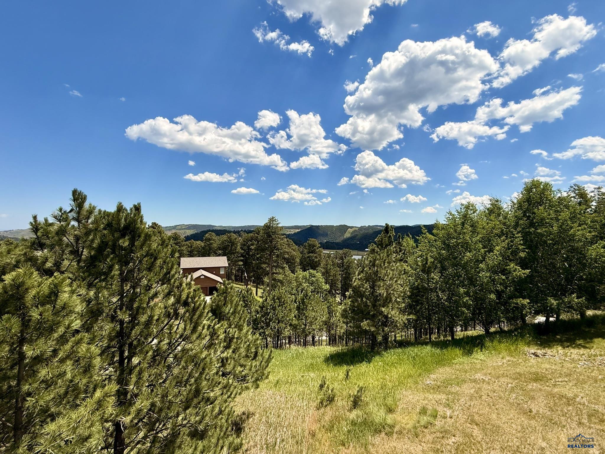 206 Tower Ridge Drive, Lead, SD 57754 — photo 3