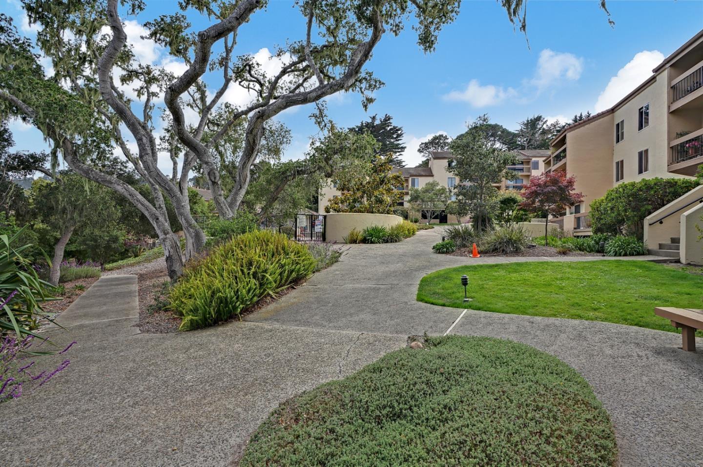 4205 Golden Oaks Lane — photo