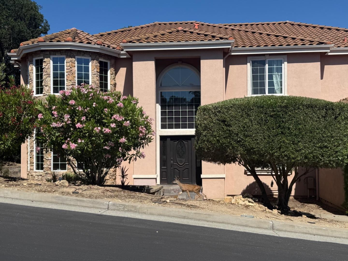 8501 Mossrose Way — photo