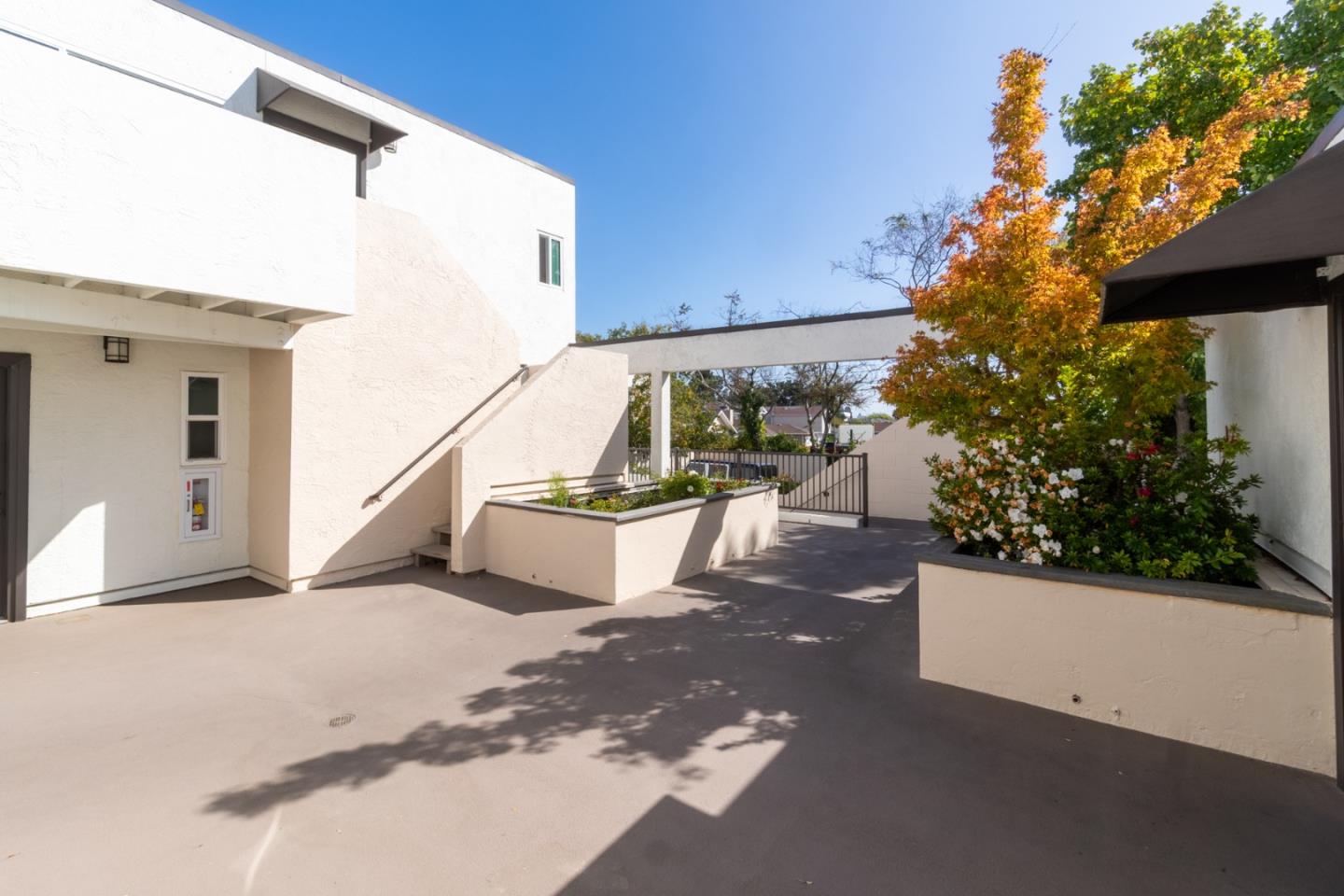 1919 Alameda De Las Pulgas — photo
