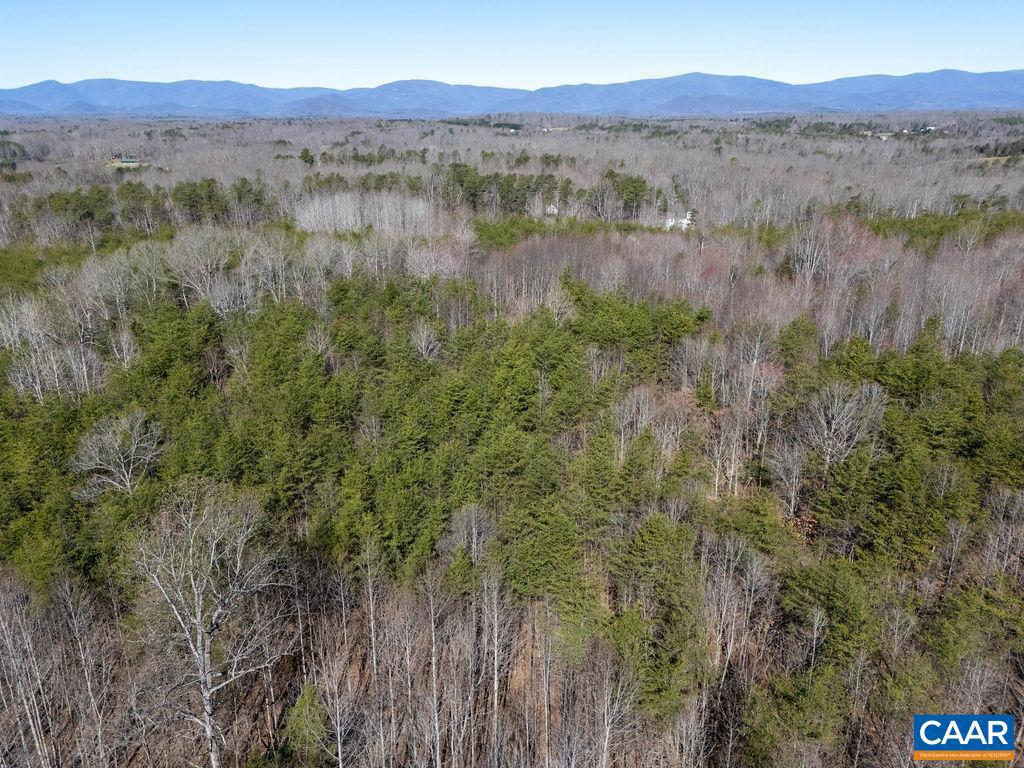 0 Frays Mill Road, Ruckersville, VA 22968 — photo 2