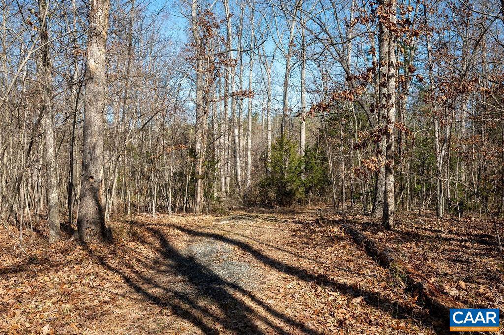 0 Frays Mill Road, Ruckersville, VA 22968 — photo 3