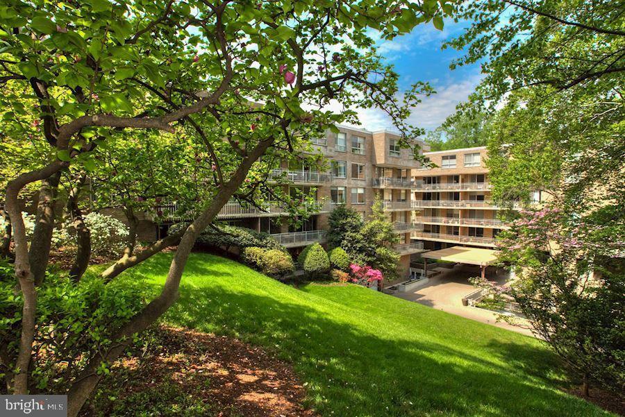 4100 Cathedral Ave NW #704 — photo