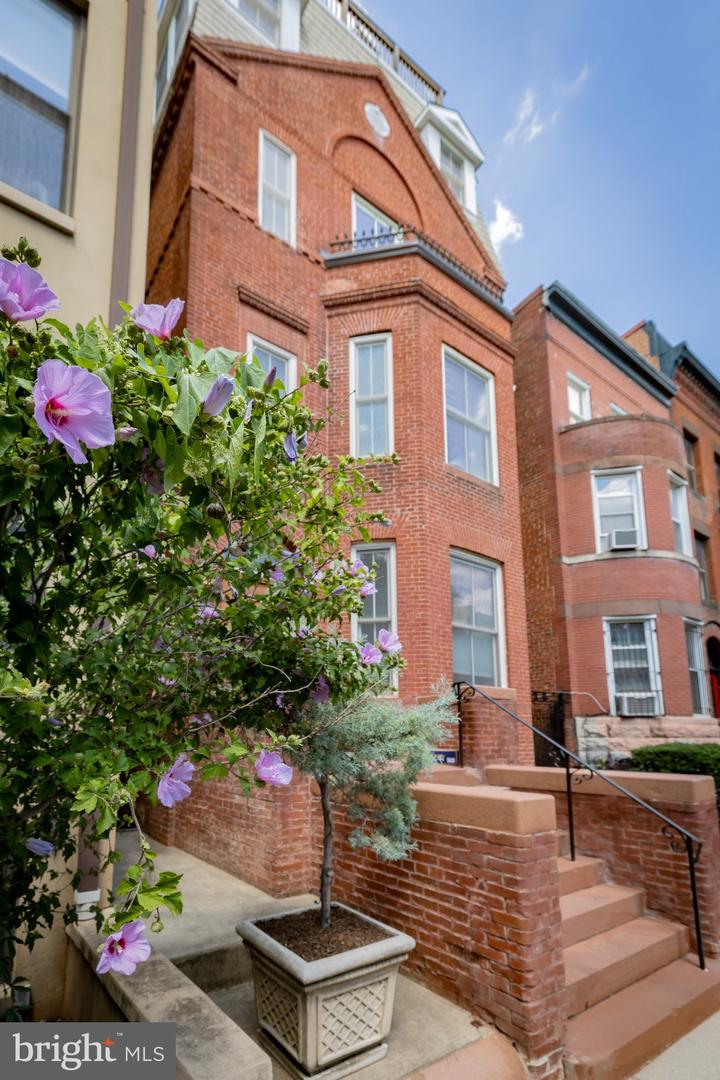1459 Harvard St NW #1 — photo