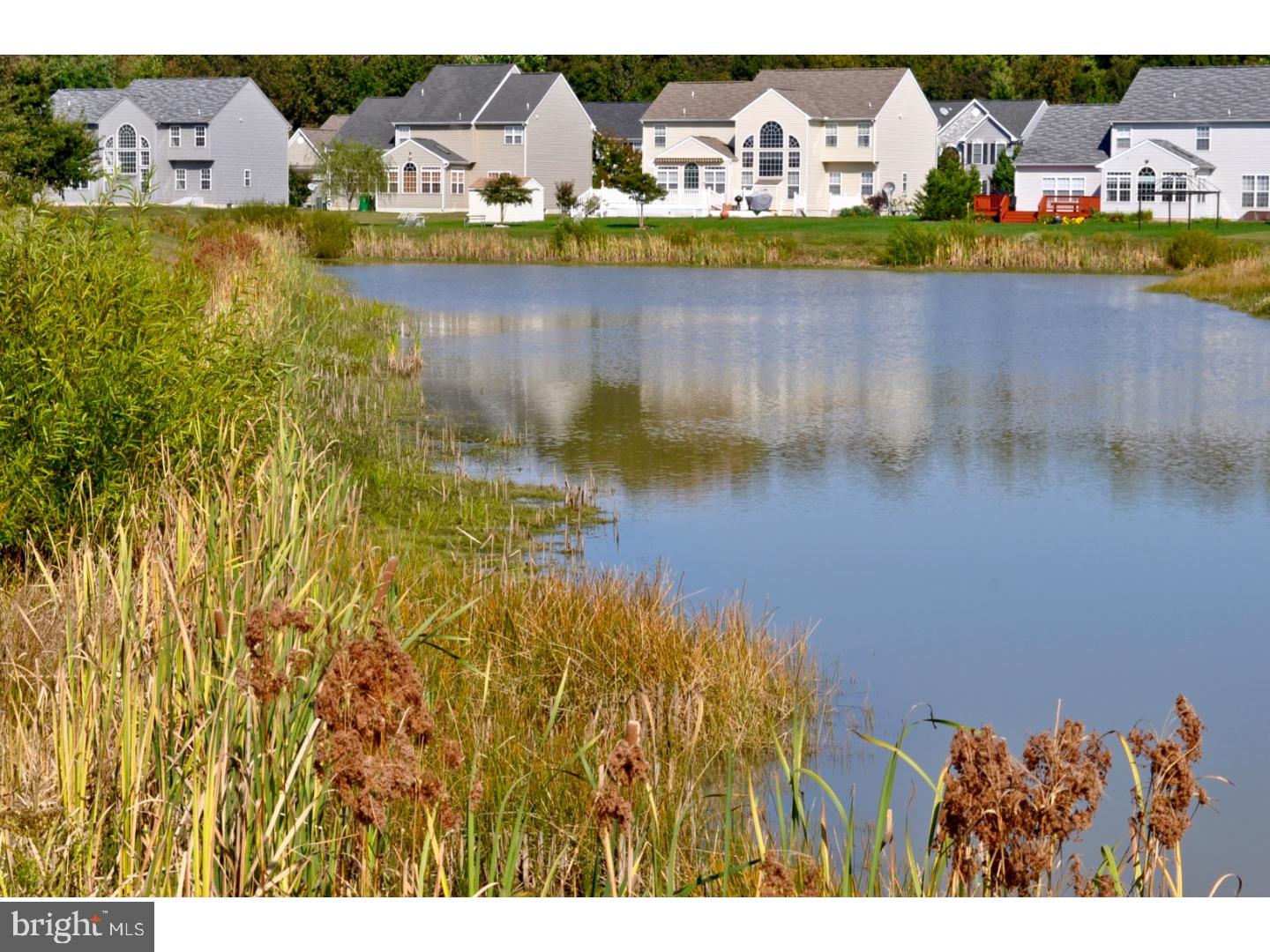 490 E Constitution Dr #Pennsbury Plan — photo