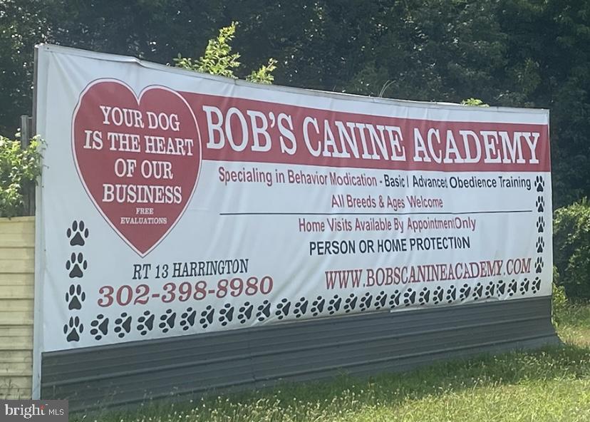 Bob'S Canine Academy — photo