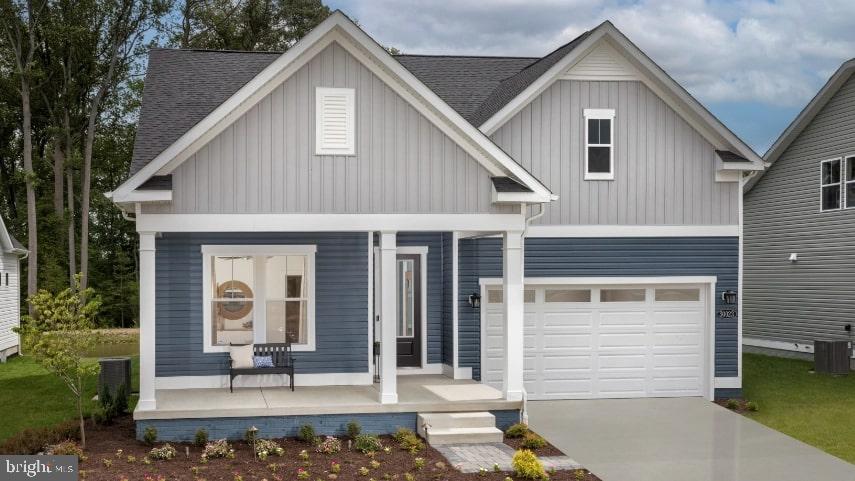 Tbb Pitch Pine Ct #Latitude — photo