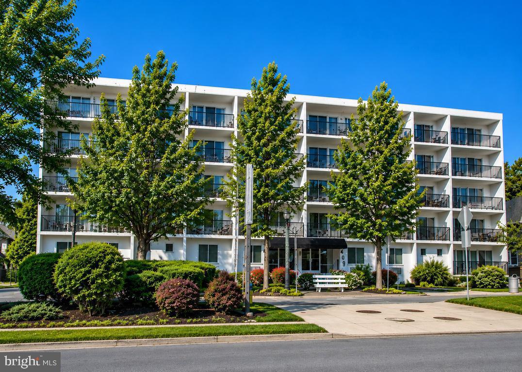 409 Rehoboth Ave #6 — photo