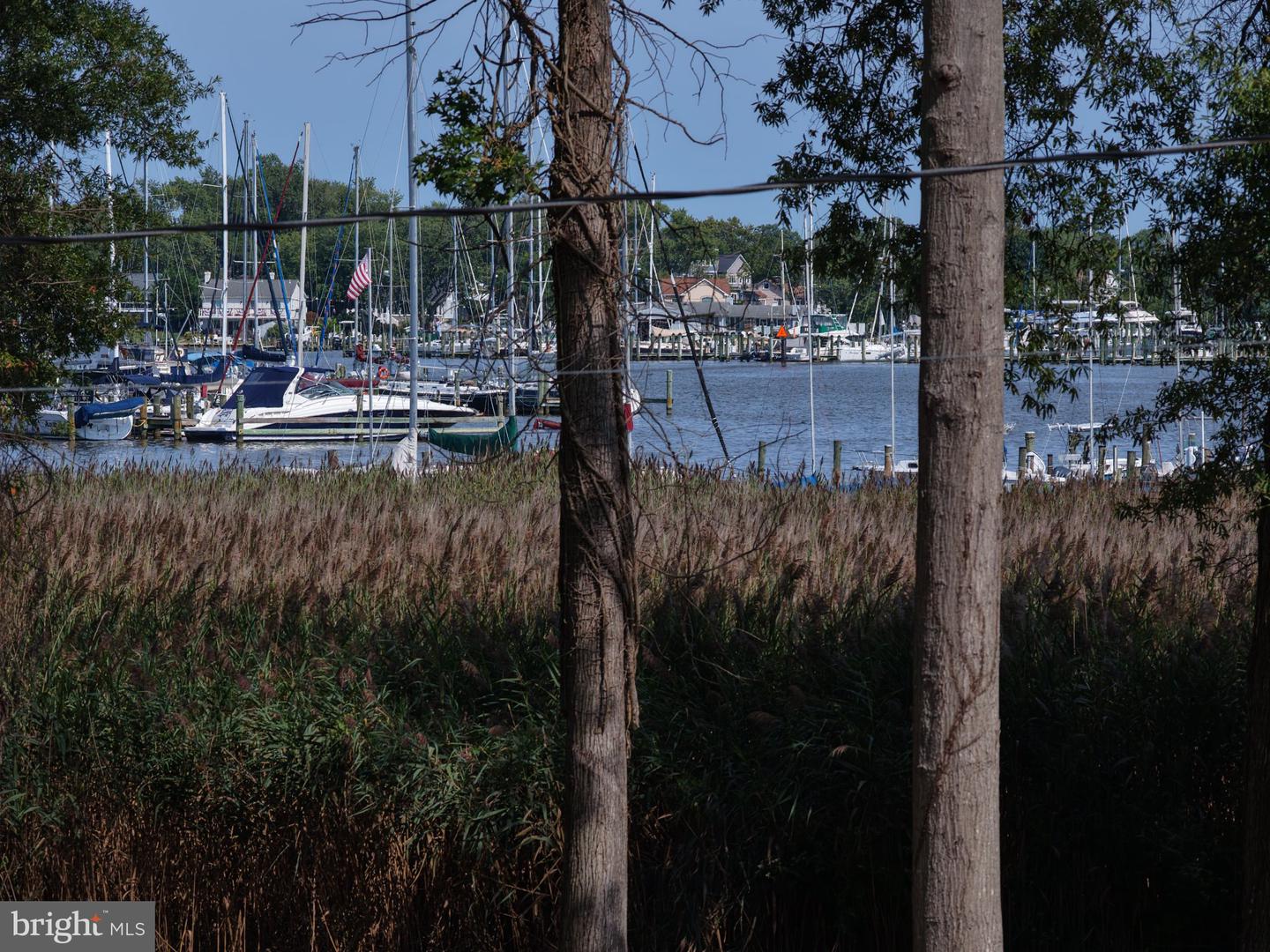 1024 Old Turkey Point Road, Edgewater, MD 21037 — photo 3