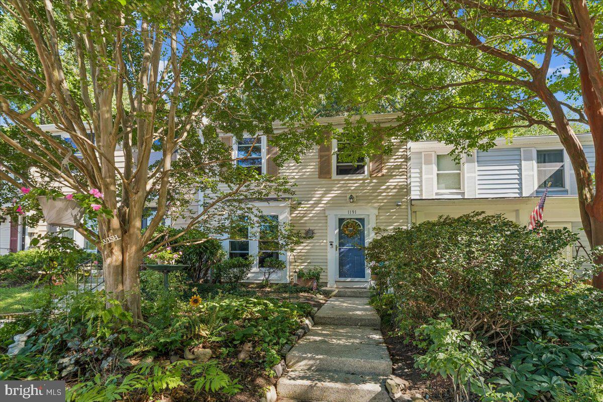 1191 White Coral Ct — photo