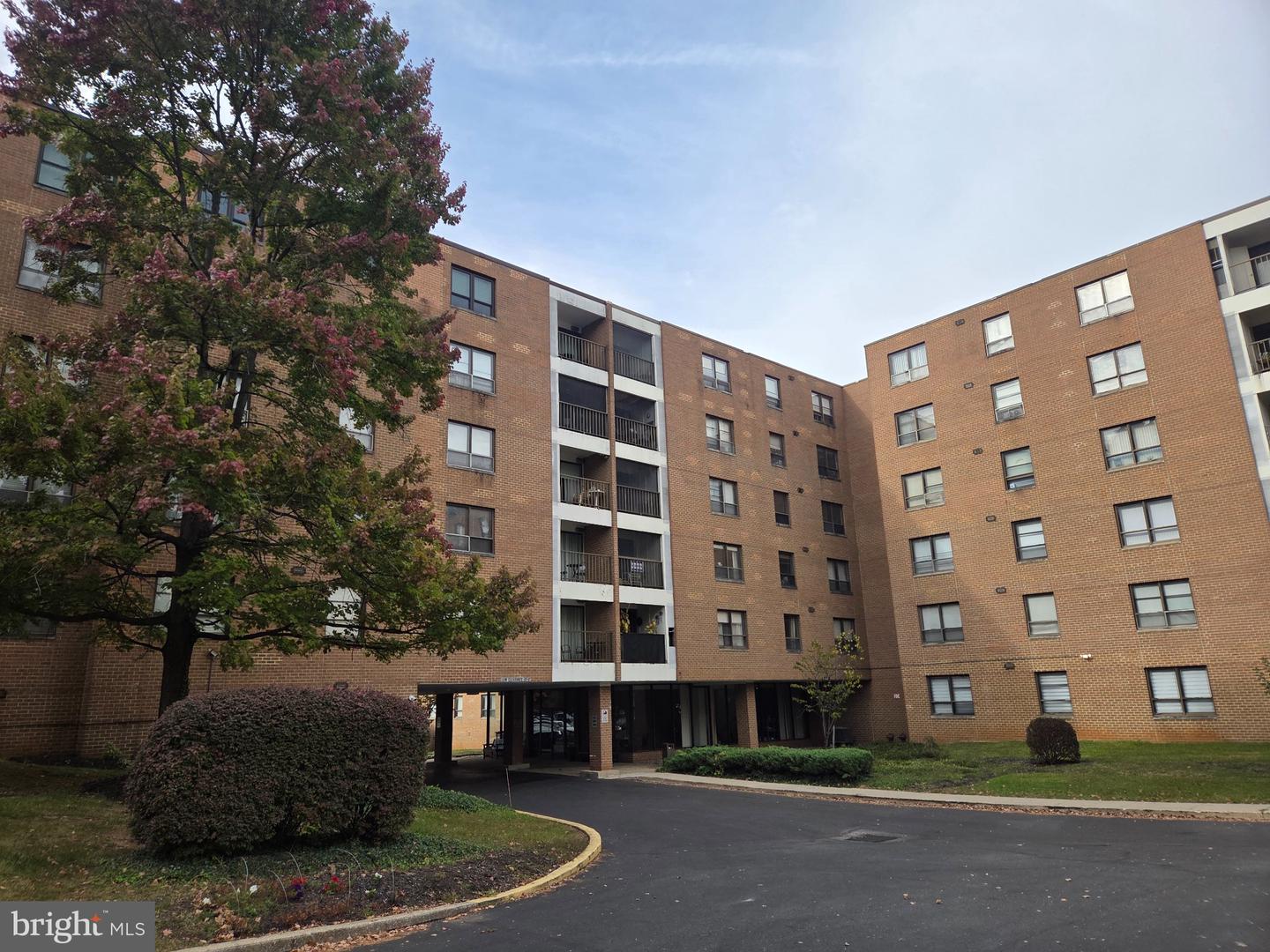 6317 Park Heights Ave #203 — photo