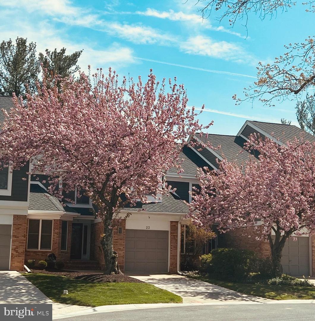 23 Raisin Tree Cir — photo