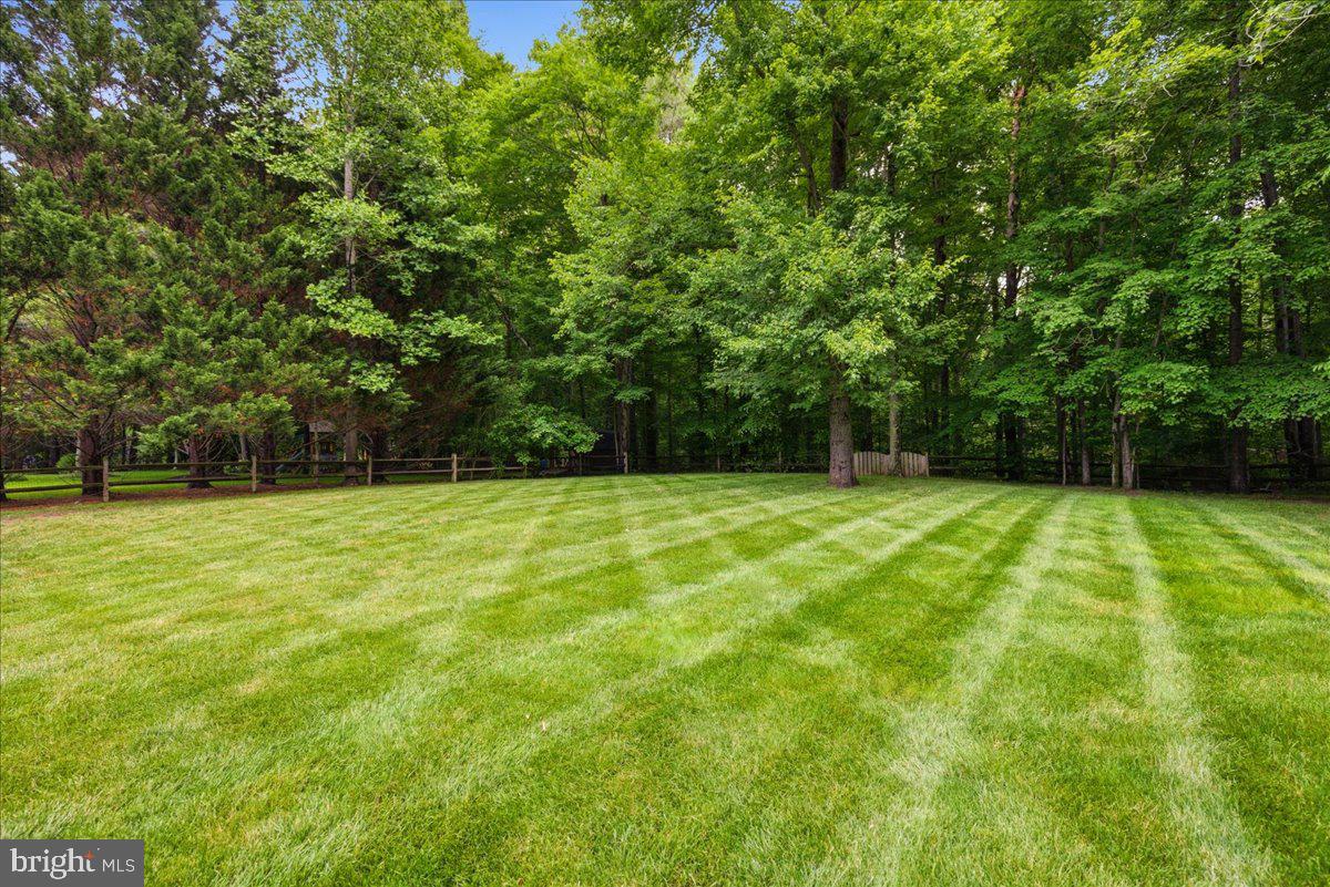 12033 Steven Ln — photo