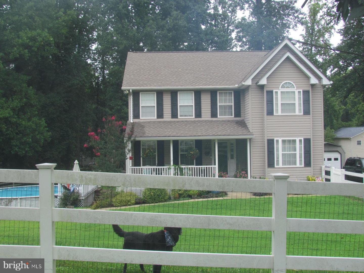 1478 Apple — photo