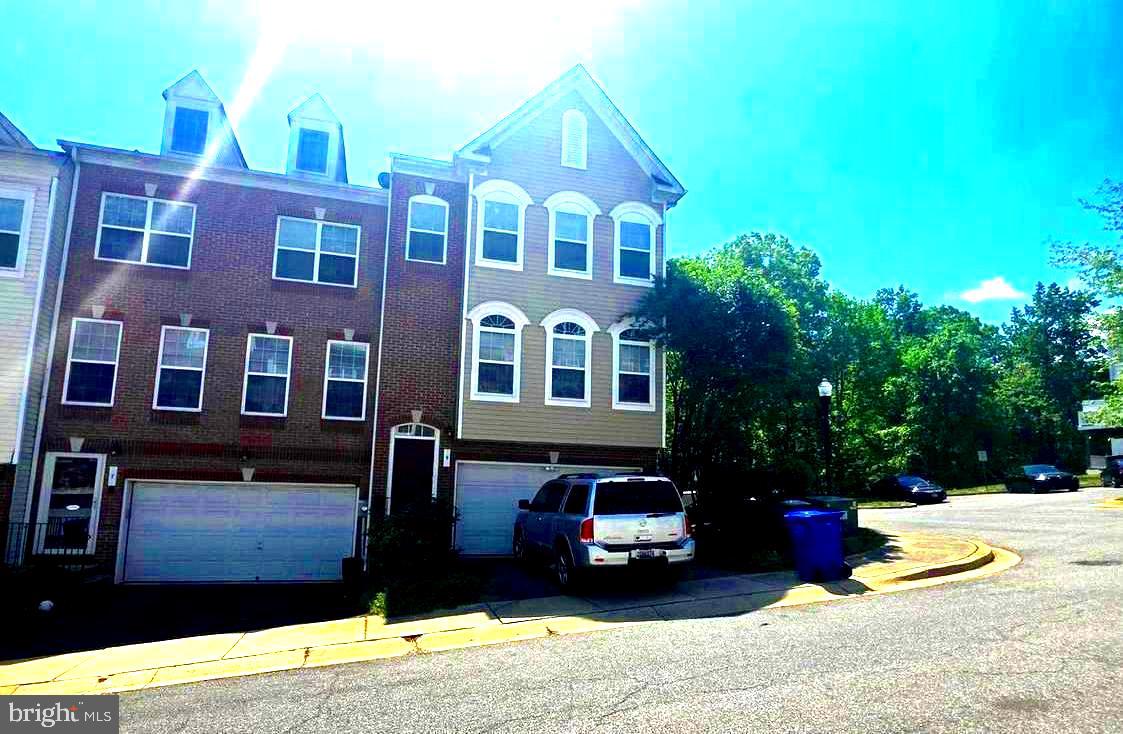 9 Lookout — photo