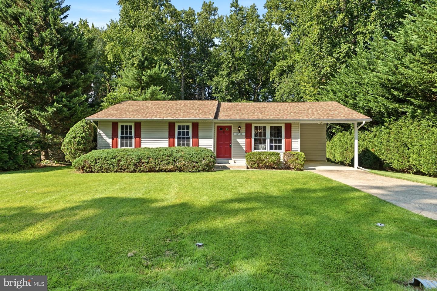 11517 Timberbrook Dr — photo