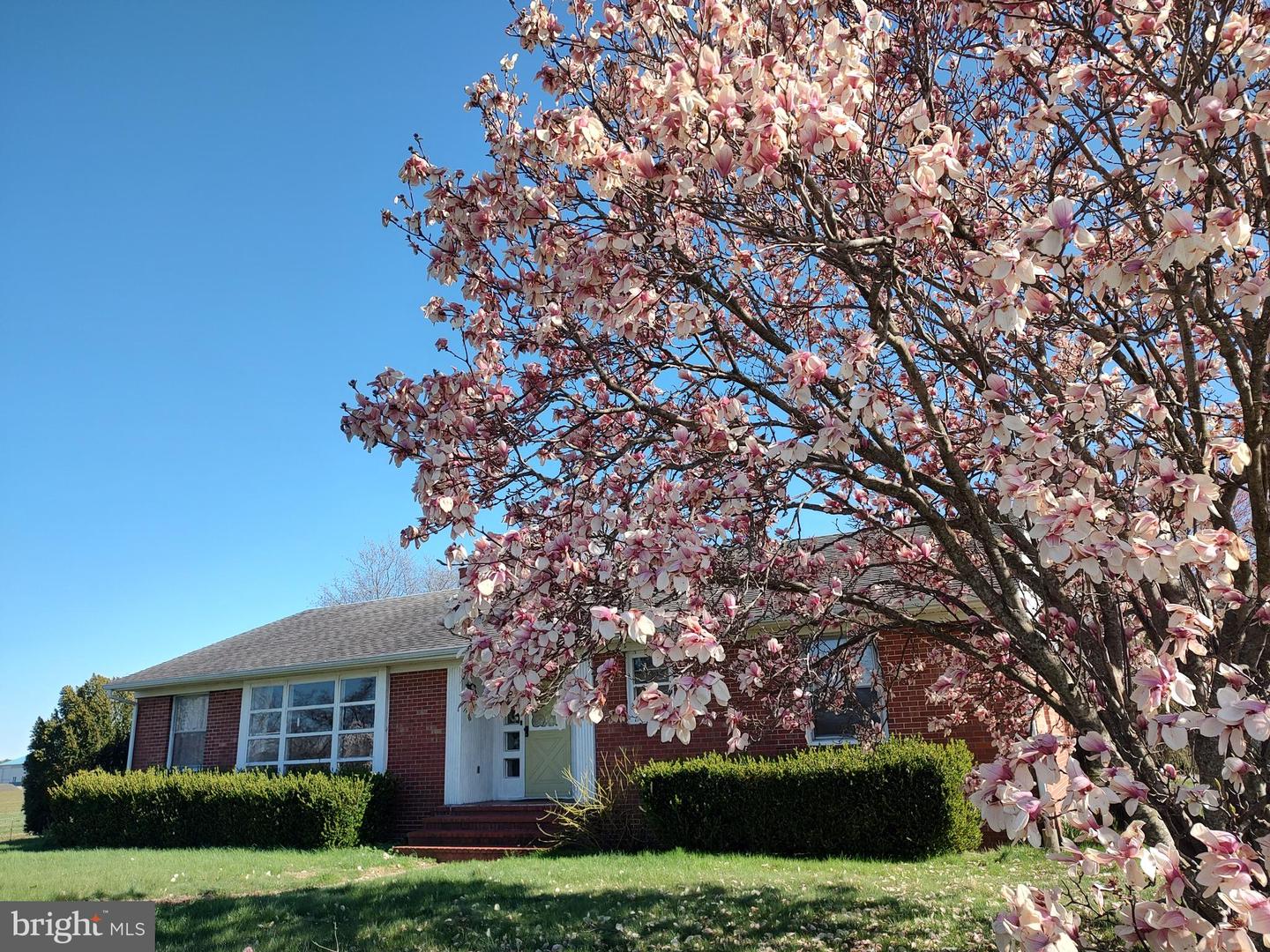 12397 Ridgely Road, Ridgely, MD 21660 — photo 2