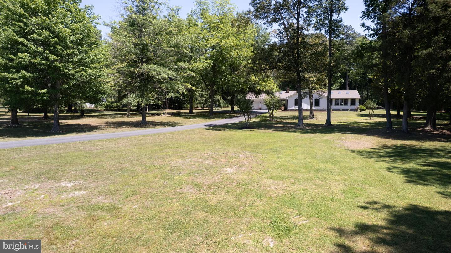 3547 Prchal Road, Preston, MD 21655 — photo 2