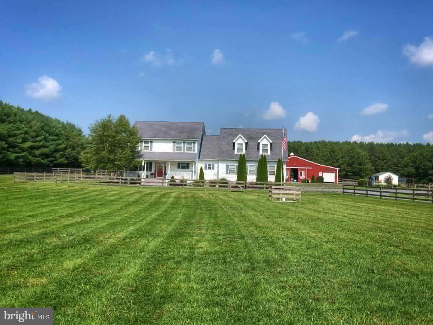 12136 Holly Road, Ridgely, MD 21660 — photo 3
