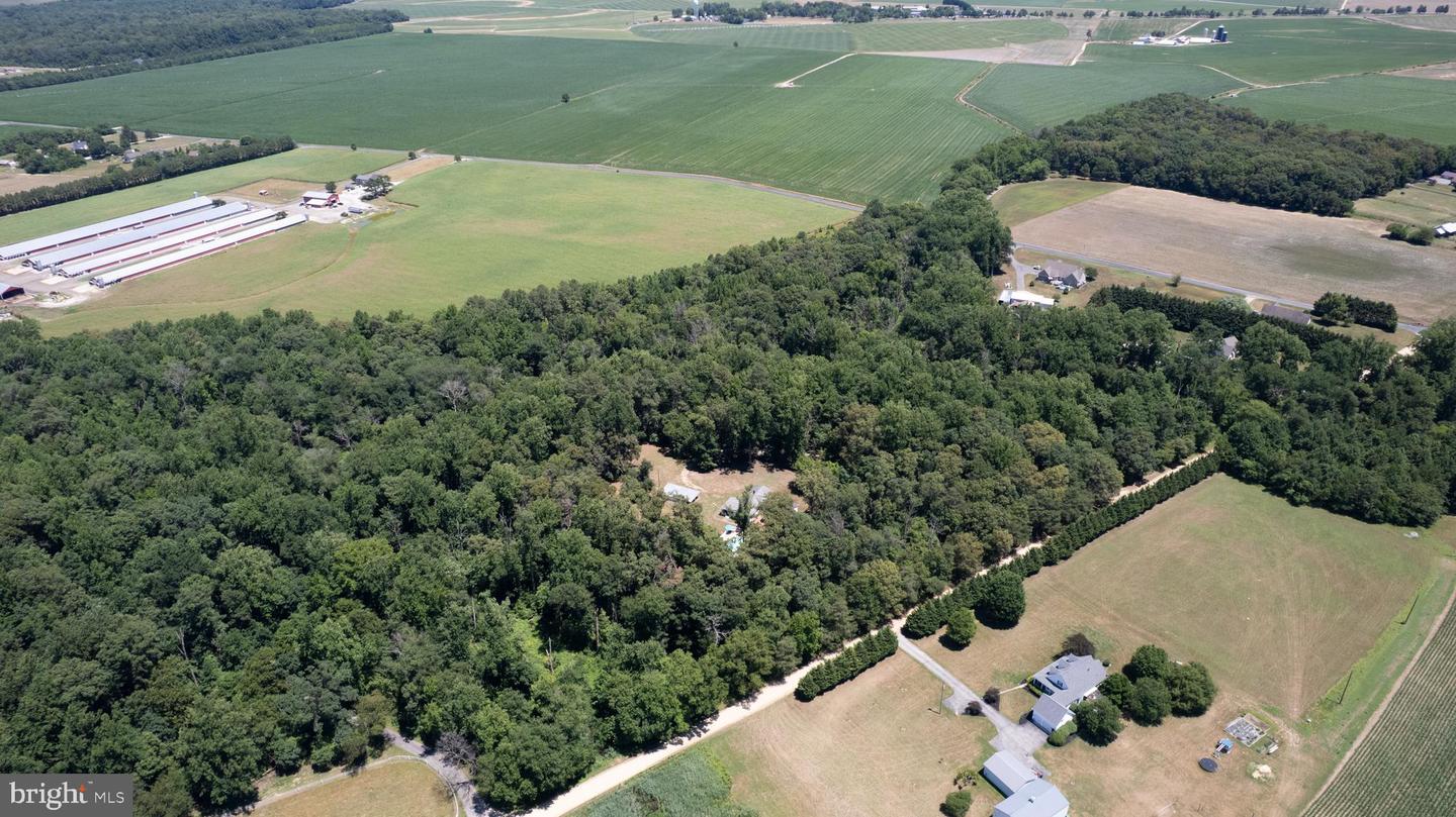 23130 Sparks Road, Ridgely, MD 21660 — photo 2