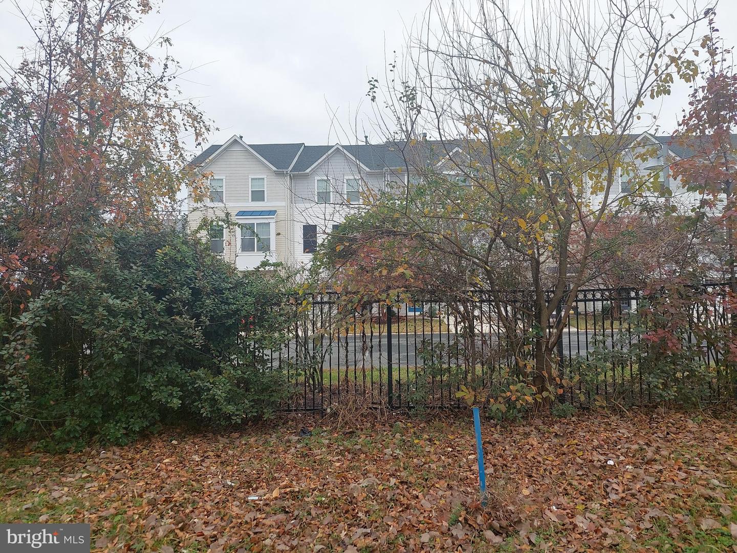 Cedar St — photo