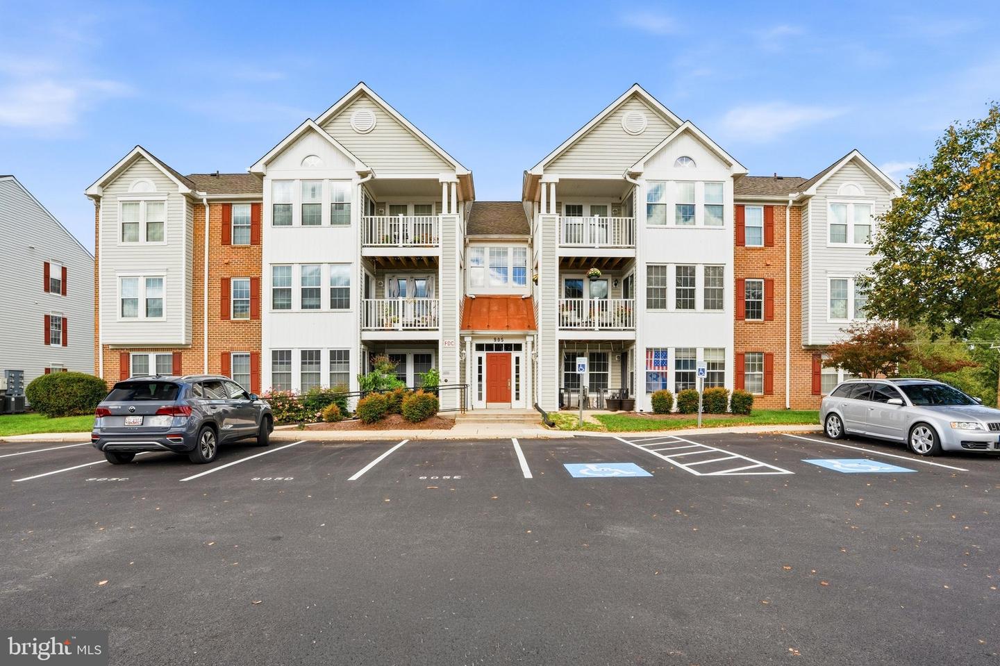 905 Blue Leaf #7 3C Ct #7 3C — photo