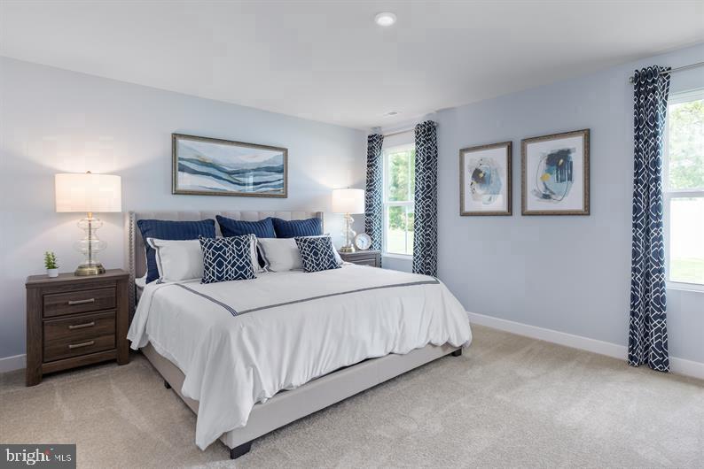 208 Heartleaf Street, Frederick, MD 21702 — photo 3