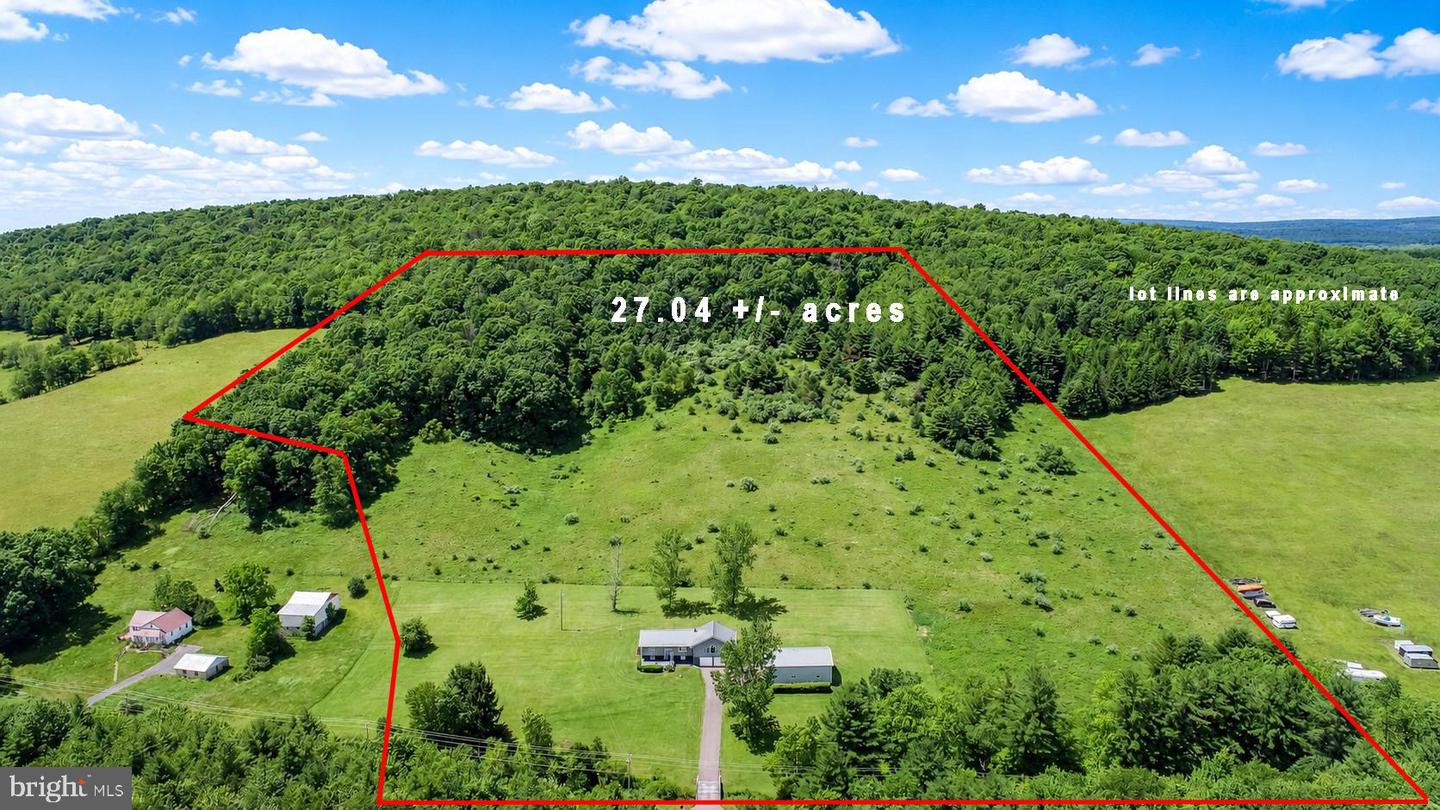 1651 Swanton Road, Swanton, MD 21561 — photo 2