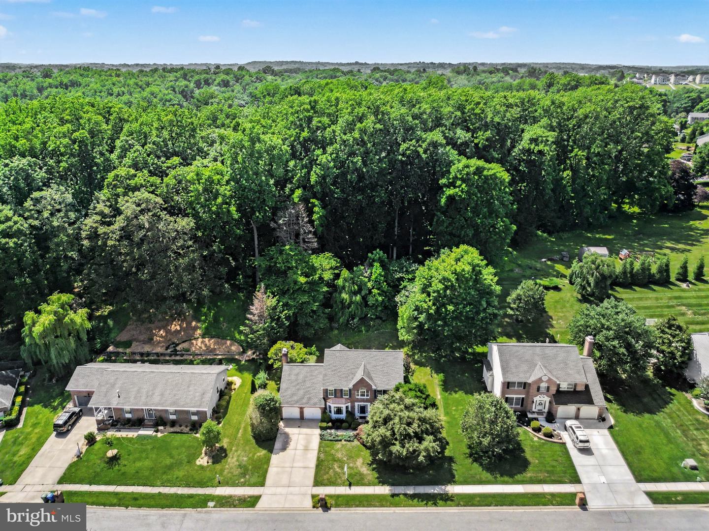 2014 Royal Fern Ct — photo