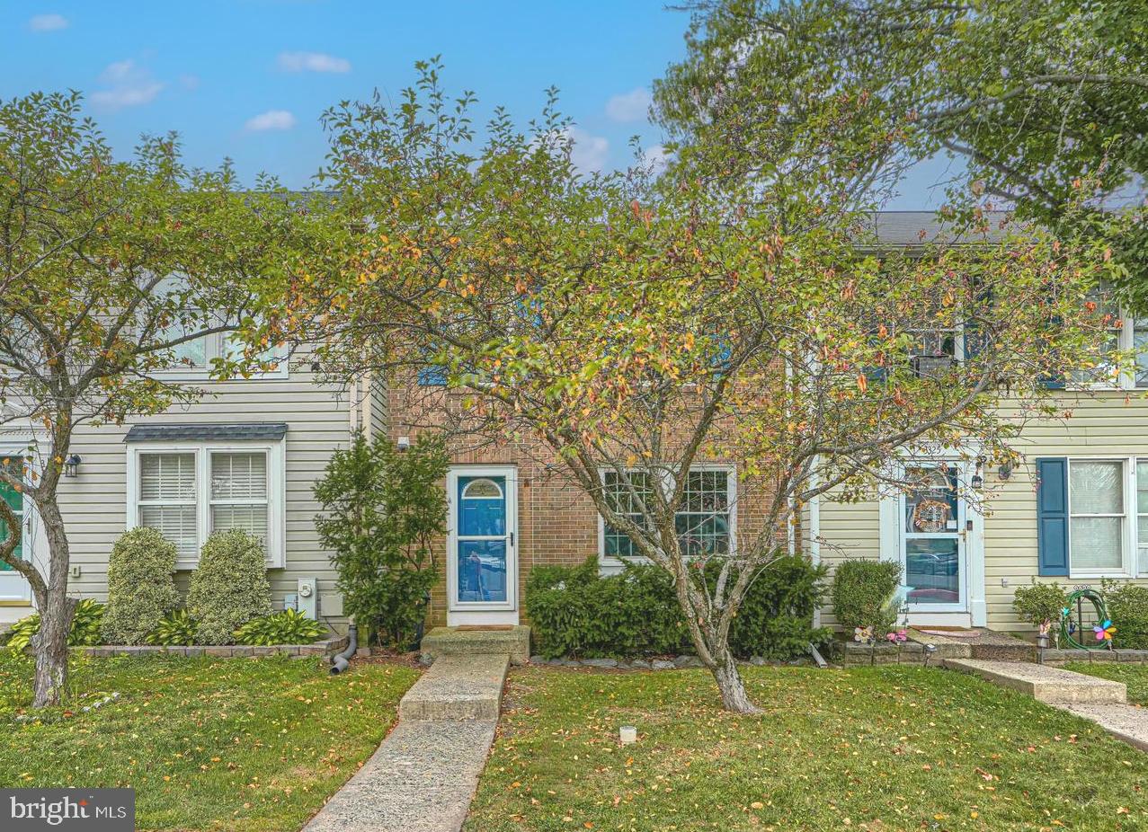 3323 Timberwolf Ct — photo