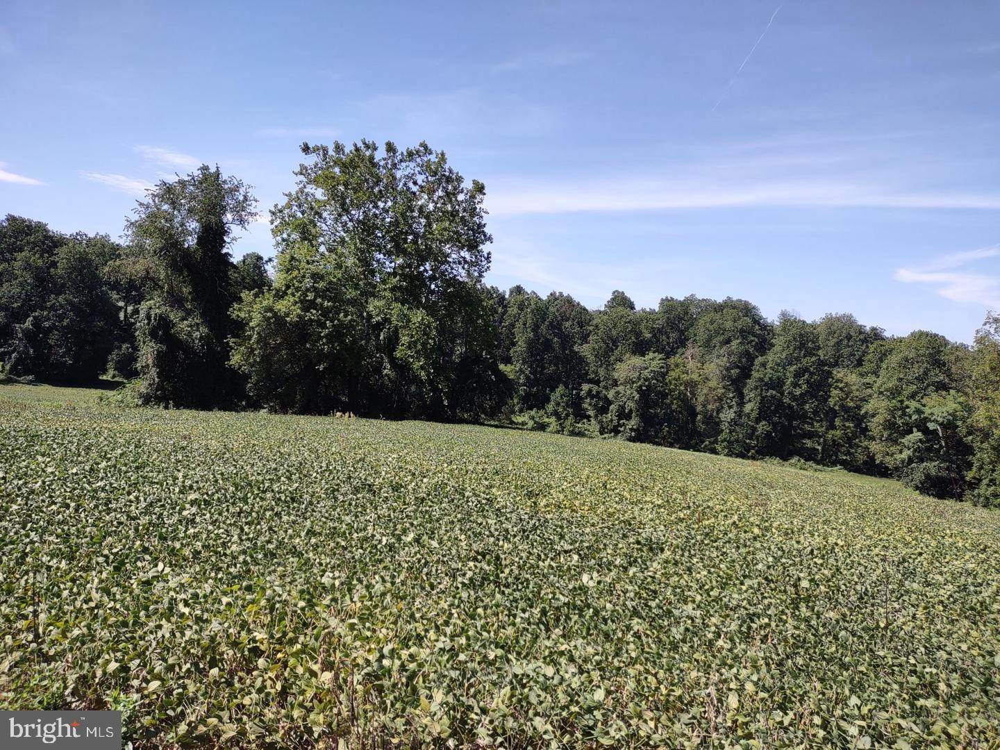 4216 Harford Creamery Rd — photo