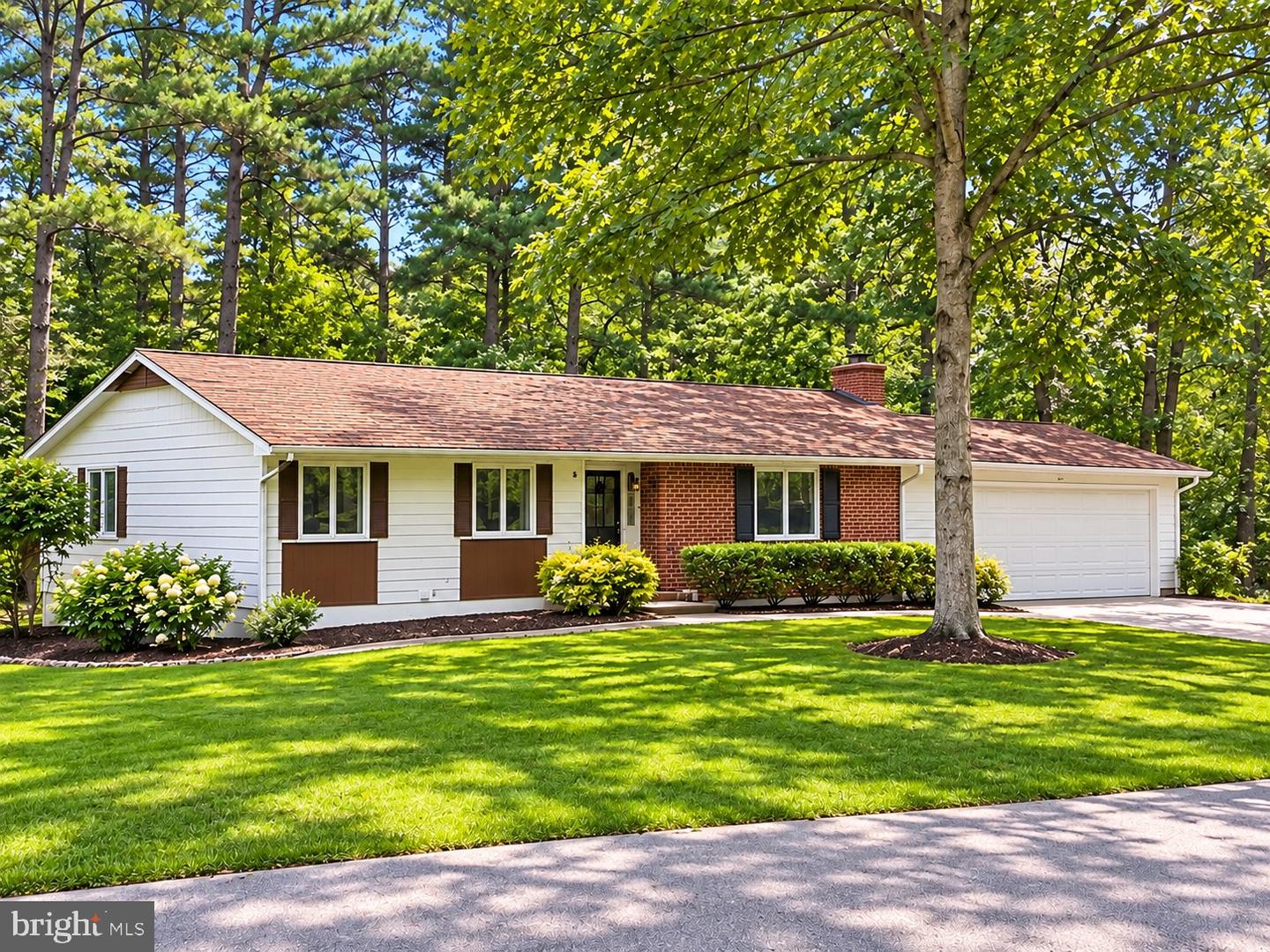 10675 Rain Dream Hl — photo