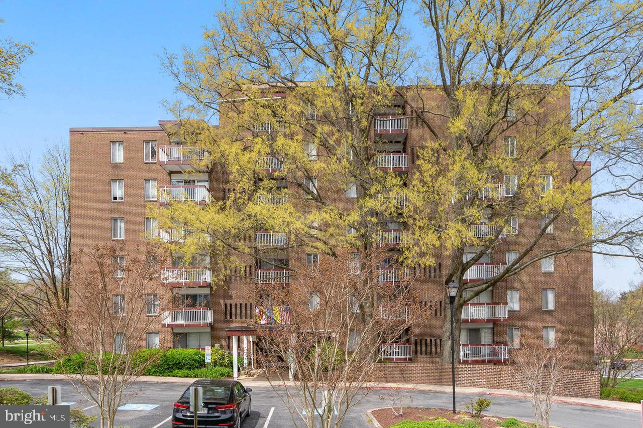 10850 Green Mountain Cir #705 — photo