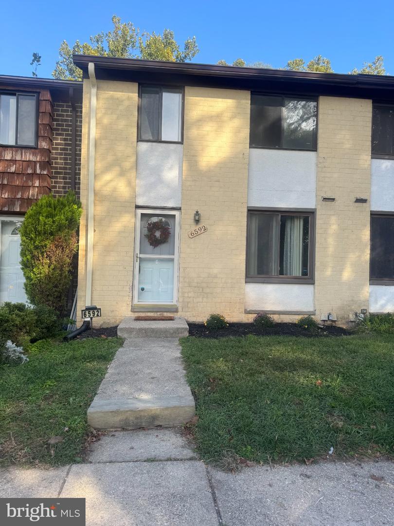 6592 Sweet Fern — photo
